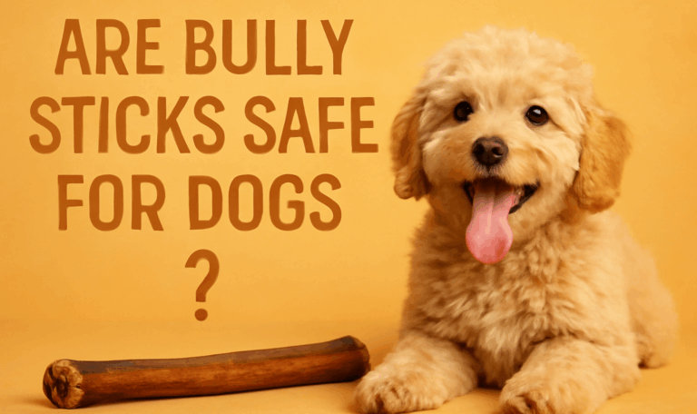 Dog chewing on a bully stick, asking 'Are bully sticks safe for dogs?' and promoting dental health.