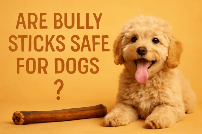 Dog chewing on a bully stick, asking 'Are bully sticks safe for dogs?' and promoting dental health.